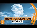 Understanding Human Perception