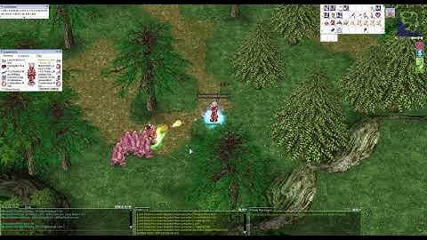 TalonRO MVP (Eddga) vs. Assassin Cross (Dual Dagger)