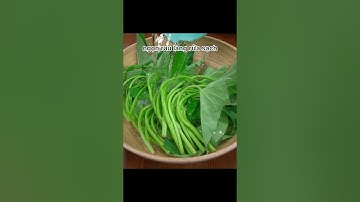 #shorts Rau lang xào tỏi #gocbepnho #họcnấuăn #amthuc #xuhuong