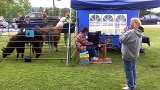 Strykersville Yardsale 2012