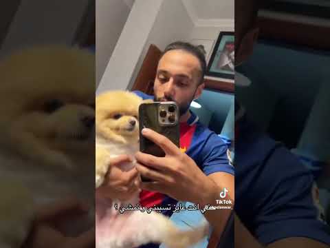   ابو الانوار فكره لم