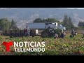 El destino de 11 millones de indocumentados depende de estas elecciones | Noticias Telemundo