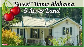 Sweet Home Alabama w/5 Acres LAND $125k NICE!