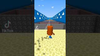 #brainrot #funny #minecraft #will I make it across 🤔