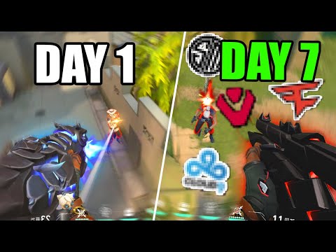 I played PRO Valorant teams for a week, here is what happened