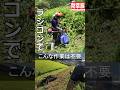 【草刈り】ラジコンなら！こんな作業はもう不要！KIORITZ RCM601【Grass cutting】 #草刈り #農業 #防草族 #ラジコン草刈機 #やまびこジャパン