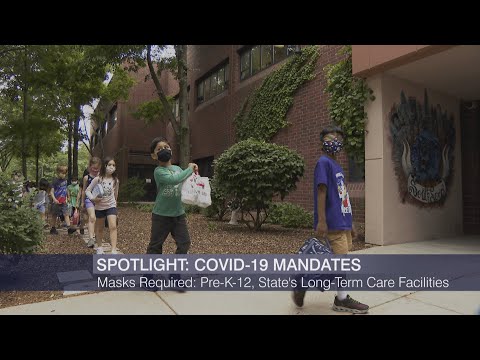 Spotlight Politics: New