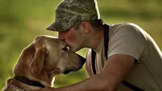 K-9 Heroes