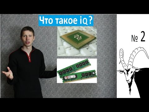 Что такое IQ?