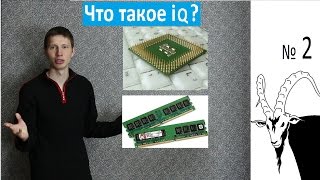 Что такое IQ? Что такое IQ?