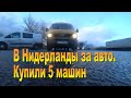 В Нидерланды за авто . Купили 5 машин!