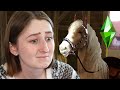 We need to talk about horses in The Sims 4...