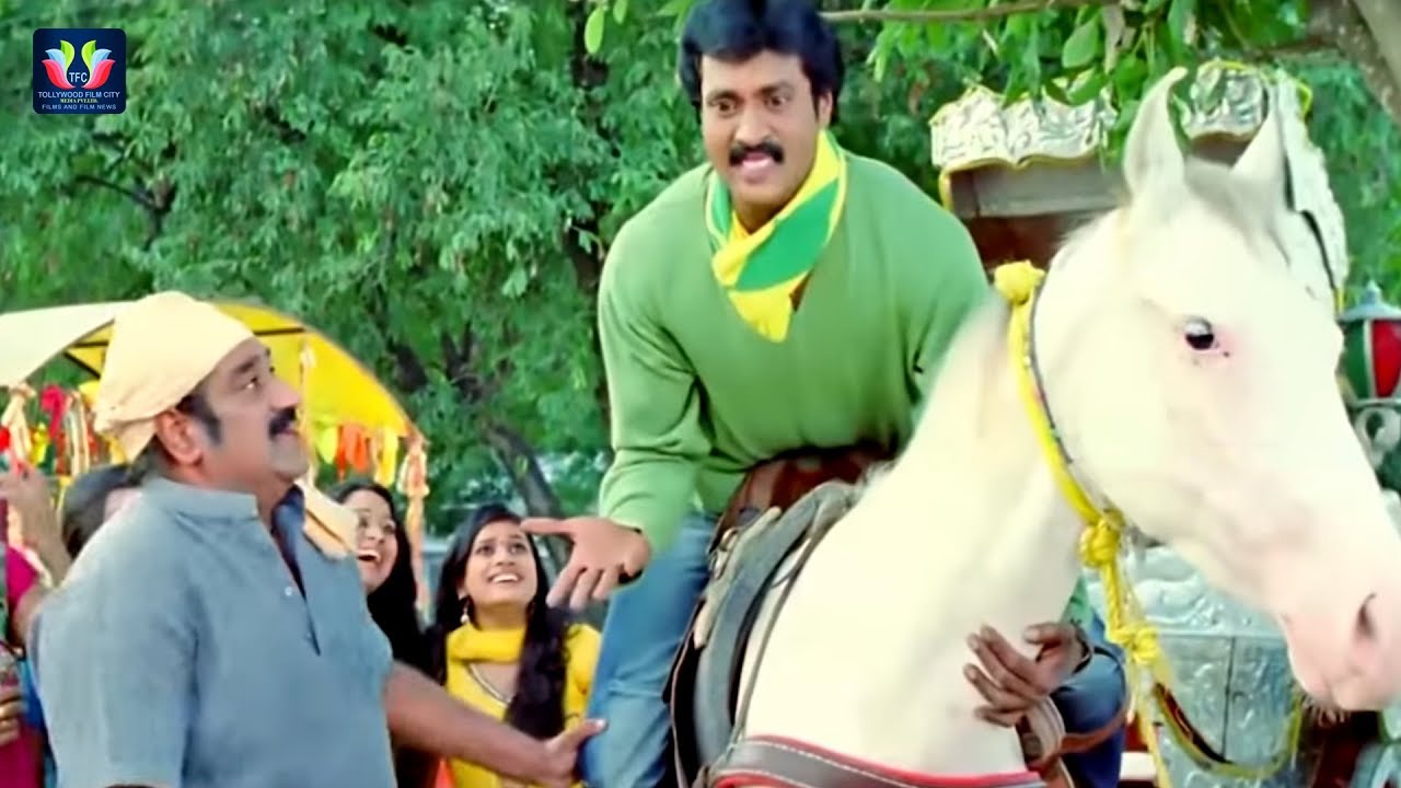 Sunil Non Stop Hilarious Comedy | TFC Films & Film News