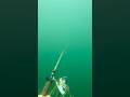 I Recovered a Fishing Rod from the Depths of Hayden Lake!