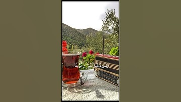 سورة نوح|آية ٢٨|ربي اغفر لي ولوالدي #راحة_نفسية #القران