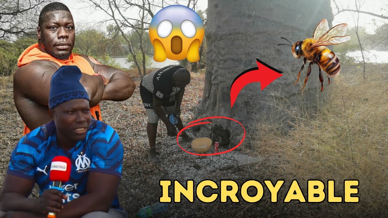 Ce que Diabe Senghor a révélé sur Édouard Dimlé Diokh va faire le buzz 😱 