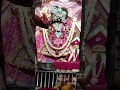 Live दर्शन श्री बांके बिहारी जी श्री राधा स्नेह बिहारी जी वृन्दावन से