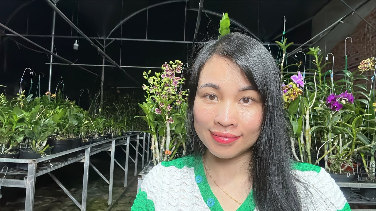 Live tối 10/3 Bán rau giá rẻ