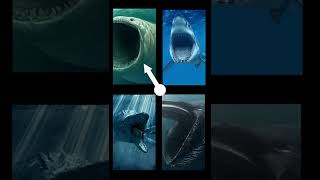 jedag jedug ikan bloop ikan megalodon ikan Mosasaurus ikan paus biru 🔥🔥🔥