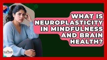 What Is Neuroplasticity In Mindfulness And Brain Health? - Brain Health Support Network