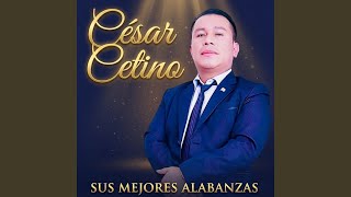 Download Lagu Sus Mejores Alabanzas Download Lagu Sus Mejores Alabanzas