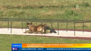 В Подмосковье проходит второй этап конкурса 