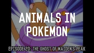 Real World Animals in Pokemon | A Conundrum