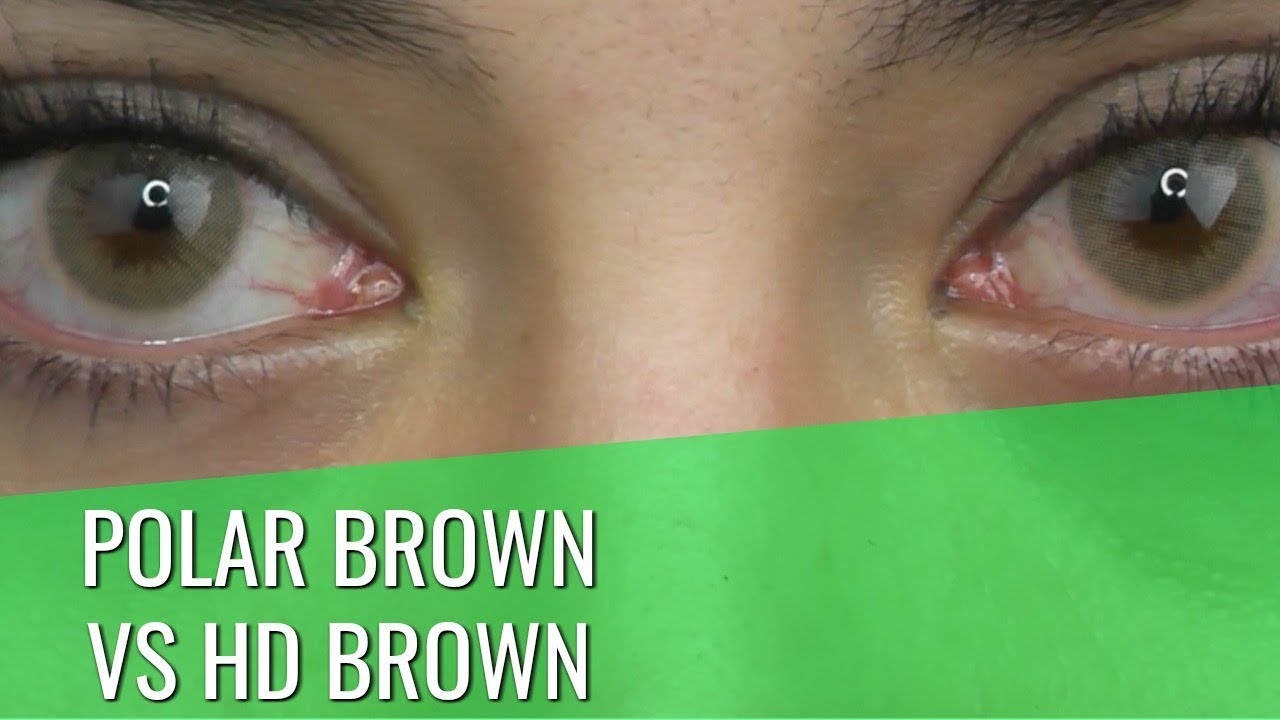 TTDEYE POLAR LIGHTS BROWN vs HD BROWNESS COLOR CONTACT COMPARISION - YouTube