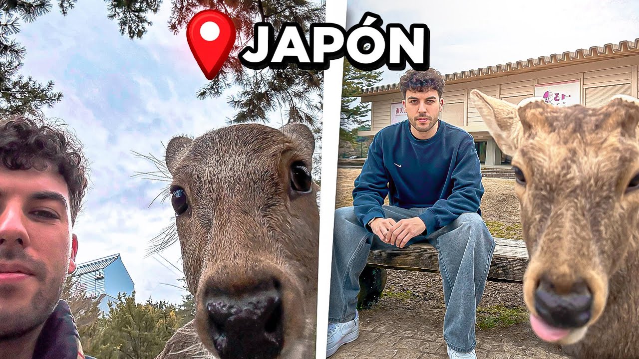 me fui de ciervas en Japón