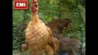 Kepulangan Yang Dinanti