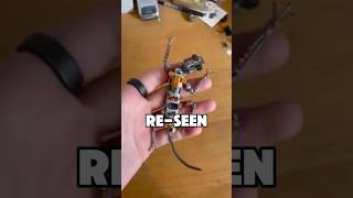 From Junk to Cyber-Creatures