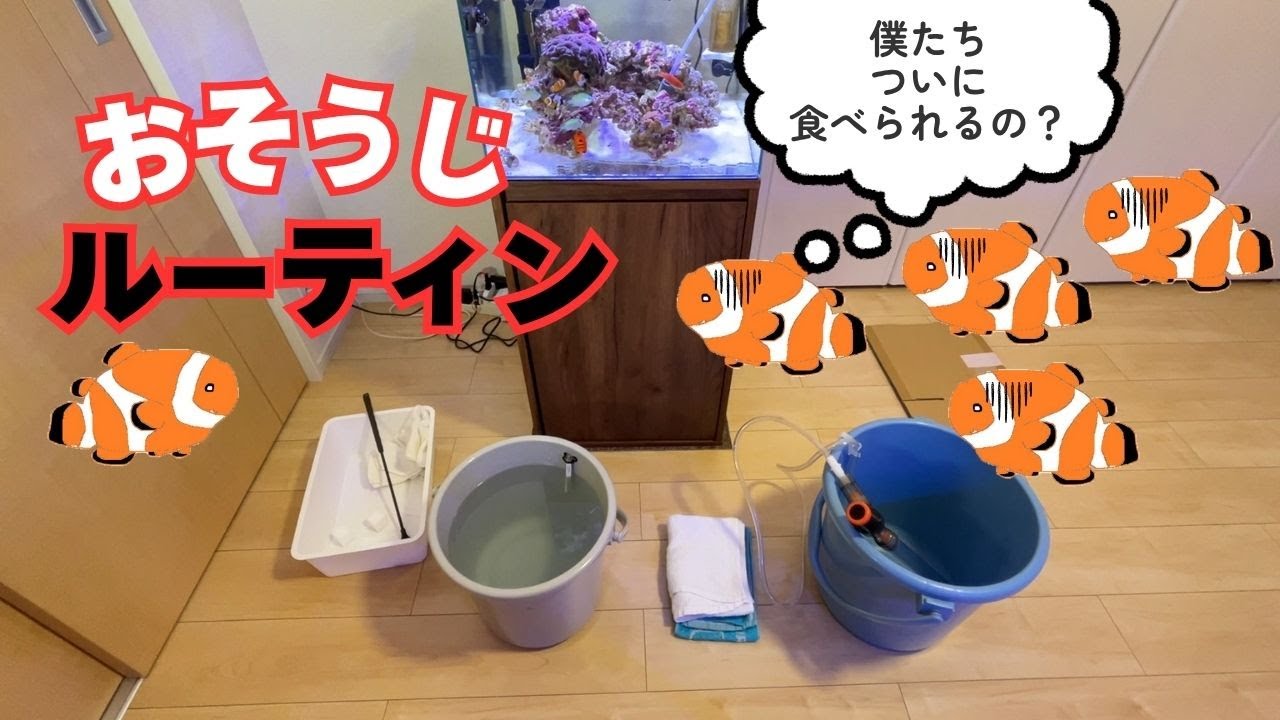 マリンアクアリウムの水槽メンテナンス