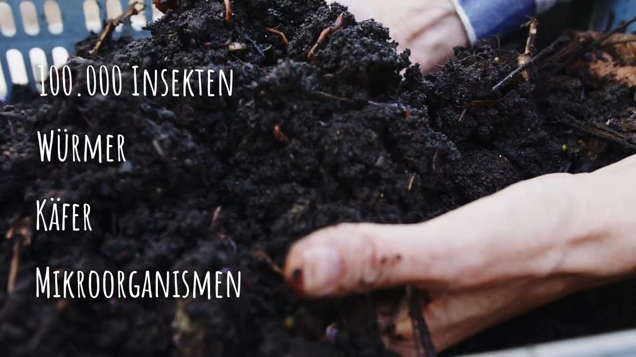 Hof Hannes - Boden & Mikroorganismen LANG