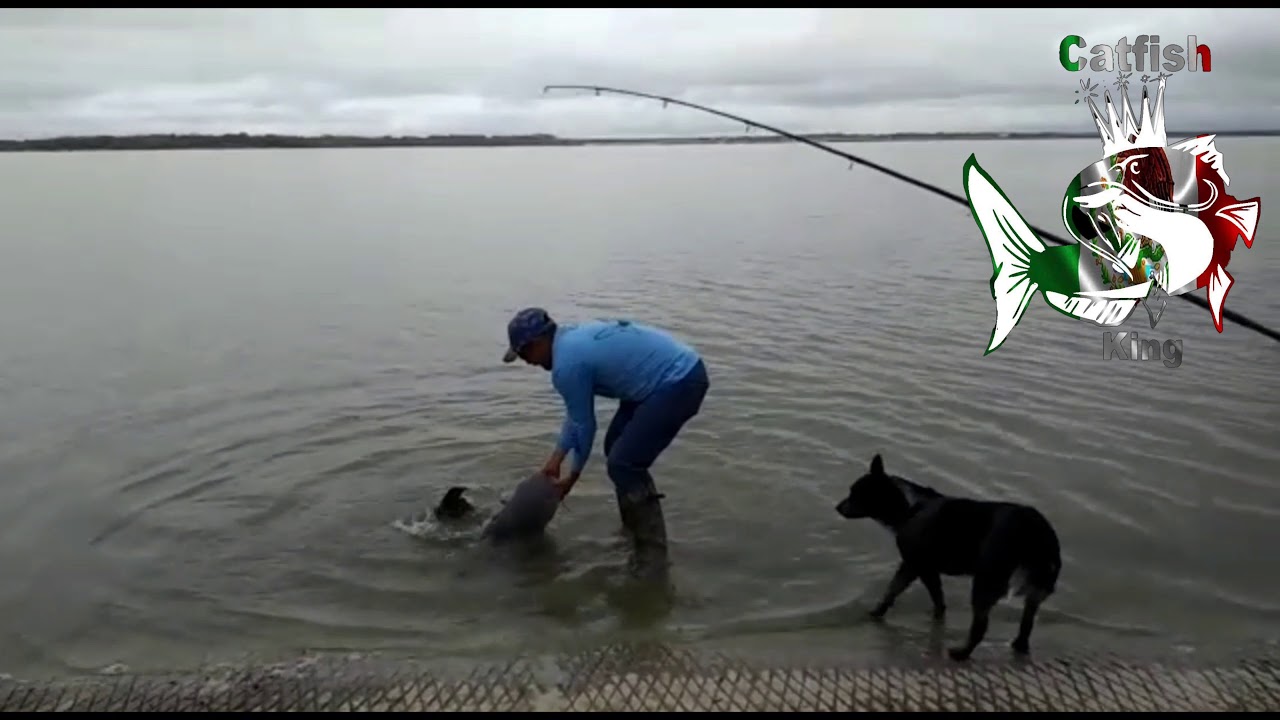 Lake lavon i catch one 40lb blue catfish YouTube