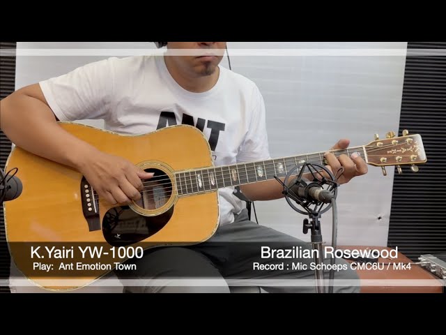 K.Yairi YW-1000 Brazilian Rosewood. 1985