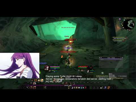 turtle wow leveling till i sleep