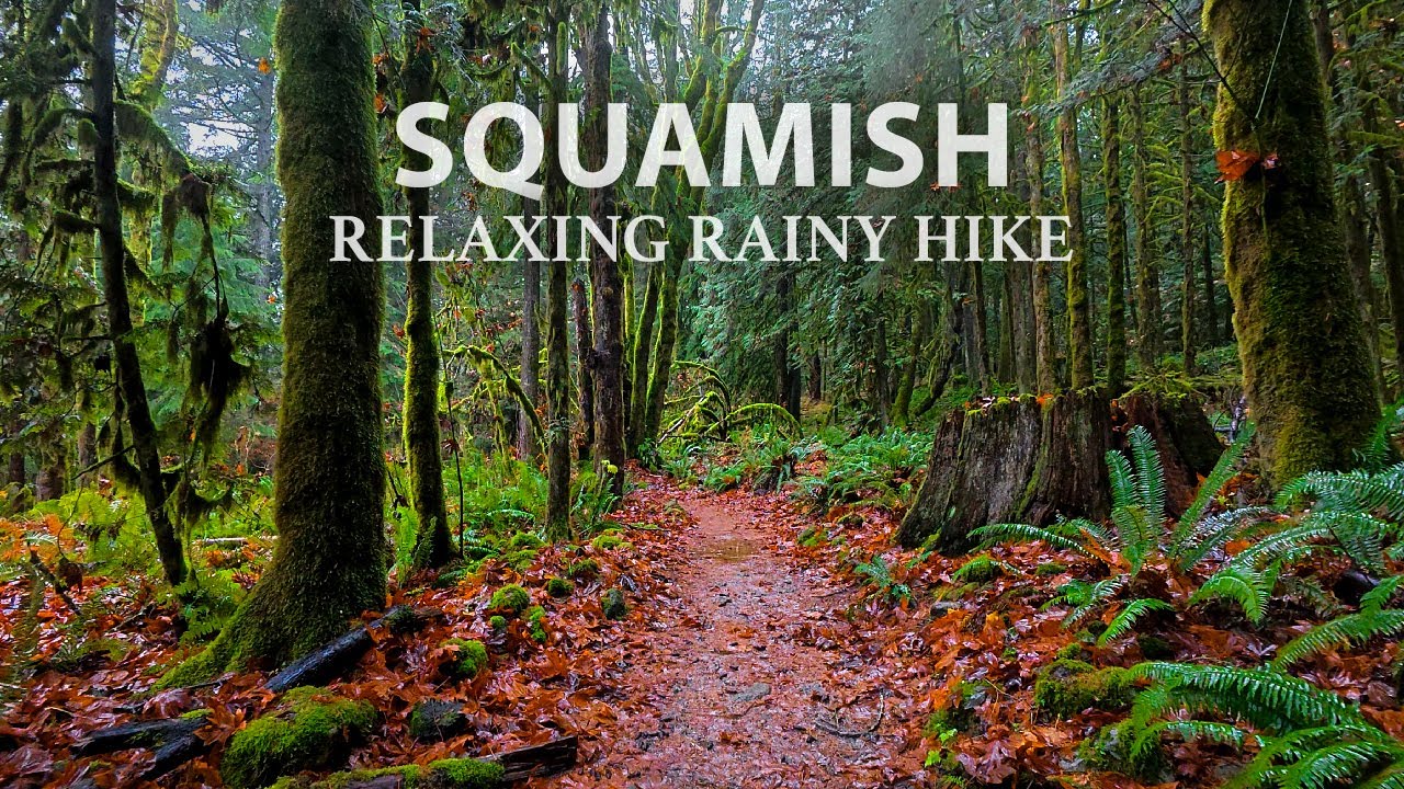 Relaxing & Mellow Rain Hike in Squamish, BC, Great for Sleep, Study & Meditation.