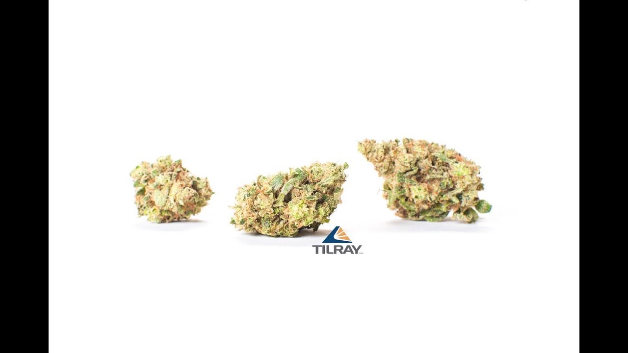 TILRAY Sour Diesel - Review - Sativa Strains - KNO1 - AGTV