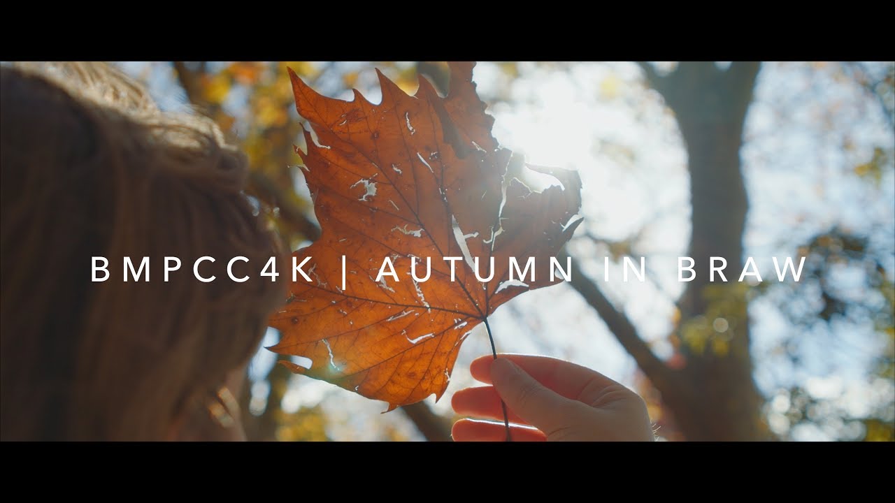BMPCC4K | BRAW Q0 | Autumn with the Blackmagic Pocket Cinema Camera 4K