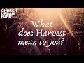 What does Harvest mean to you?