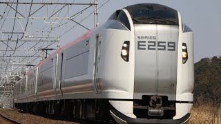 E259系特急しおさい&成田エクスプレス(NEX)