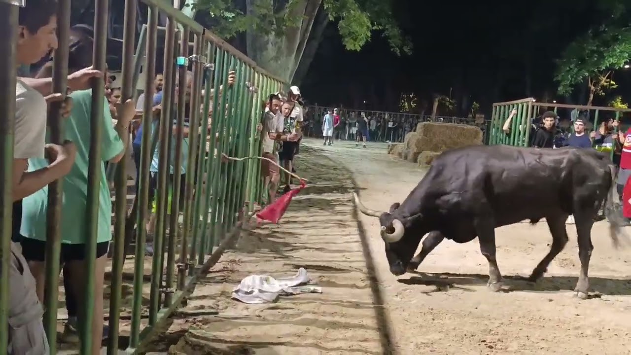ENCIERRO DE NUIT MANADE LABOURAYRE A BEAUCAIRE LE 20 JUILLET 25