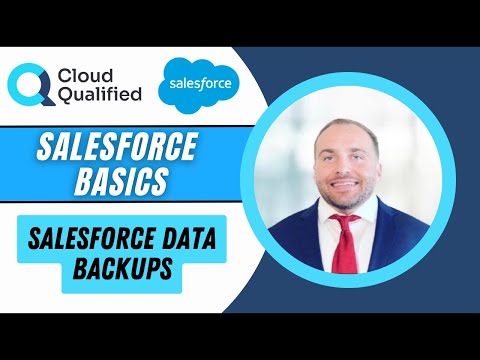 Salesforce Basics: Salesforce Data Backups