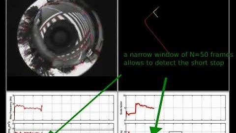 Video Demo: Scaled Monocular SLAM for Walking People