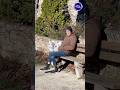 LES BOULISTES DE CLIOU #petanque