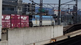 JR西日本学研都市線207系、EF66形発車、通過シーン