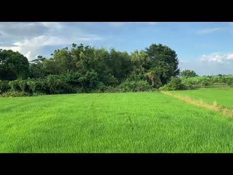 Hòa Long mặt tiền 155 m, gần Quốc lộ 56 - Video thực địa 1