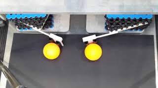 Purposefully introduced imperfections for soft actuation, TUDelft, Prof Amir Zadpoor screenshot 5