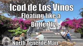 TENERIFE, ICOD DE LOS VINOS, FLOATING LIKE A BUTTERFLY