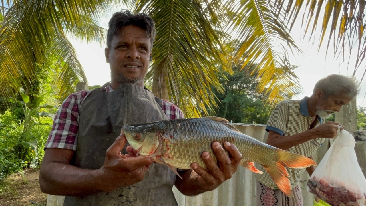 $1 Freshwater Food? 🦀 Shopping at Sri Lanka’s Cheapest Fish Market!